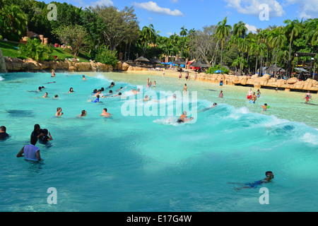 Ruggito laguna piscina ad onde, Valle di onde, Sun City Resort, Pilanesberg, nord ovest della provincia, Repubblica del Sud Africa Foto Stock