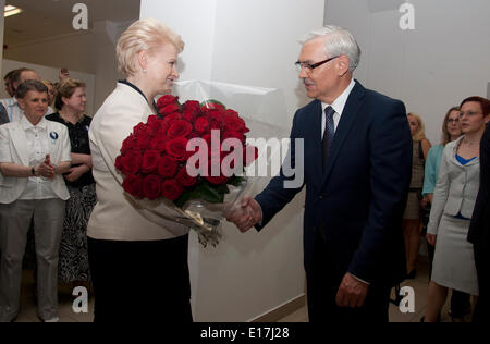 Vilnius. 26 Maggio, 2014. Il Presidente lituano Dalia Grybauskaite (L) scuote le mani con social democratico contender Zigmantas Balcytis a Vilnius, in Lituania il 26 maggio 2014. Il Presidente lituano Dalia Grybauskaite trattenuto il suo post come ella beat social democratico contender Zigmantas Balcytis in un runoff, secondo i risultati preliminari rilasciato dalla commissione elettorale centrale inizio lunedì. Credito: Milda/Xinhua/Alamy Live News Foto Stock