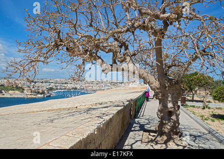 La città di La Valletta pareti da Hastings Gardens cercando di Manoel Island, Sliema, nord di Malta, l'Europa. Foto Stock