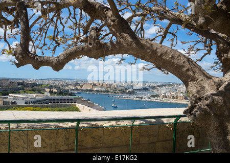 La città di La Valletta pareti da Hastings Gardens cercando di Manoel Island, Sliema, nord di Malta, l'Europa. Foto Stock