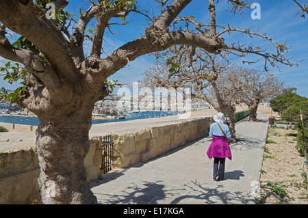 La città di La Valletta pareti da Hastings Gardens cercando di Manoel Island, Sliema, nord di Malta, l'Europa. Foto Stock