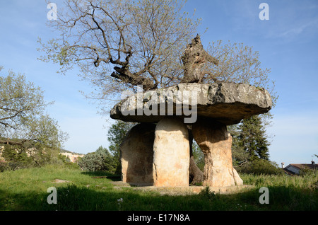 Dolmen o tomba megalitica noto come Pierre de la fée o Pietra di fata Draguignan Provence Francia Foto Stock