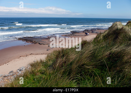 Vista di Cocklawburn Beach sulla costa est di Northumberland. Un attraente sottosviluppato cove. Foto Stock