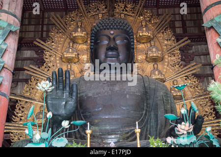 Grande Buddha a Daibutsuden,Todaiji Foto Stock