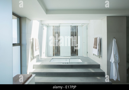 Sunny bagno moderno Foto Stock