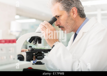 Scienziato usando microscopio in laboratorio Foto Stock