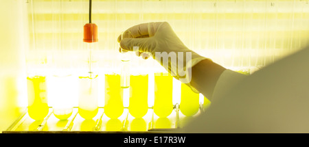 Scienziato esaminando le provette con liquido verde Foto Stock