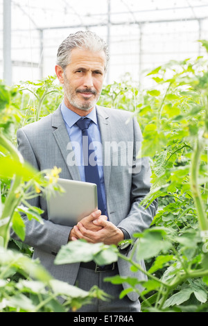 Ritratto di fiducioso proprietario di affari tra piante di pomodoro in serra Foto Stock