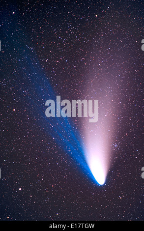La cometa Hale-Bopp Aprile 7, 1997 180mm obiettivo a f/2.8 Ektachrome Elite II 100 slide film (grana molto fine), a circa dieci minuti di esposizione, Foto Stock