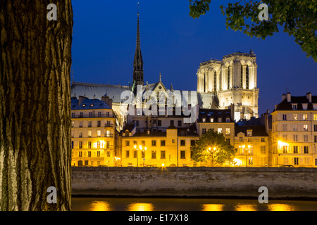 Twilight vista della cattedrale di Notre Dame si ergono al di sopra degli edifici di Ile-de-la-Cité, Parigi Francia Foto Stock
