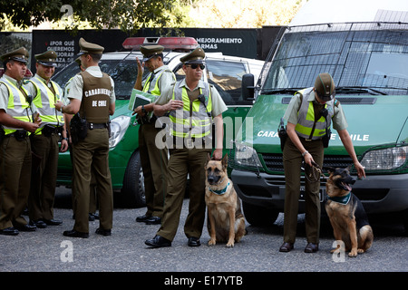 Maschio e femmina di gestori di cane carabineros de chile agenti di polizia nazionali nel centro storico di Santiago del Cile Foto Stock