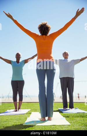 Per gli anziani la pratica dello yoga nel soleggiato parco Foto Stock