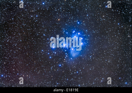 Le Pleiadi star cluster, aka sette sorelle o M45, in Toro. Una profonda esposizione che mostra la riflessione nebulosità Foto Stock