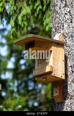 in legno Bird House CINCIARELLA Sparrow scatola di nidificazione Alimentatore Giardino Albero * contrassegnata 