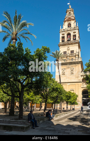 Il Patio de los Naranjas, corte arancione e Alminar Tower, una volta che il minareto della Grande Moschea (La Mezquita), Cordoba, Spagna Foto Stock