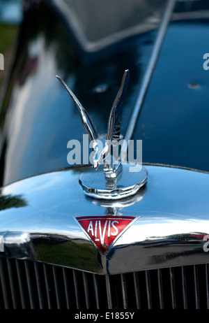 Un ovehead colpo di un uccello emblema sul cofano del motore di un'annata Alvis automobile Foto Stock