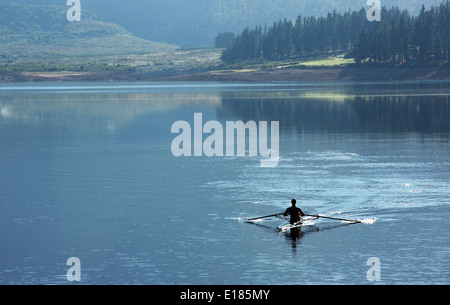 Uomo scull canottaggio sul lago Foto Stock