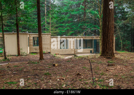 Woodland Lodges a Center Parcs La Foresta di Longleat, Wiltshire, Inghilterra, Regno Unito. Foto Stock