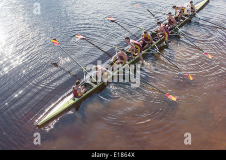 Il team di canottaggio in scull sul lago Foto Stock