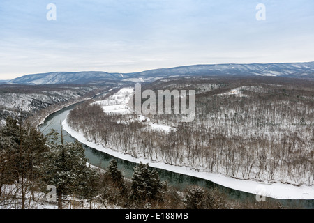 Scena di paesaggio della cresta verde foresta di stato durante l'inverno in Western Maryland, Stati Uniti d'America Foto Stock