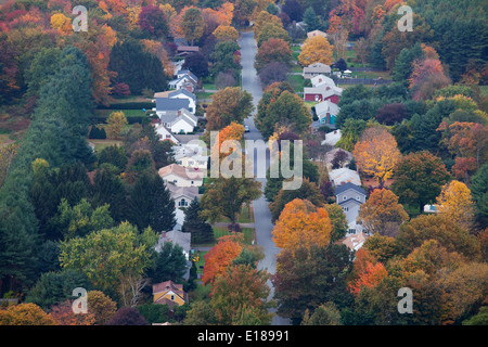 Autunno alberi tra zona suburbana Foto Stock