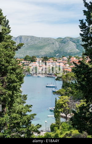 Una vista del mare attraverso alcuni alberi, Cavtat, con barche ormeggiate sulla baia, Croazia, Europa Foto Stock