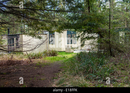 Woodland Lodges a Center Parcs La Foresta di Longleat, Wiltshire, Inghilterra, Regno Unito. Foto Stock