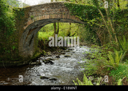 Horner Packhorse bridge over Horner acqua, Exmoor Foto Stock