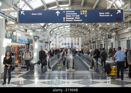 Concourse C del terminale 1 è raffigurato in O'Hare International Airpor in Chigago, Illinois Foto Stock