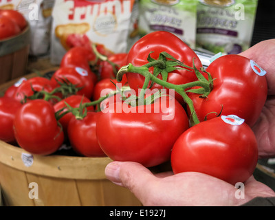 Vite di pomodori maturi, produrre sezione, Gristedes Fruttivendolo, NYC, STATI UNITI D'AMERICA Foto Stock