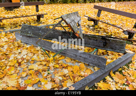 Gelbe Bl‰tter im Herbst liegen in einem Park am Boden. Foto Stock