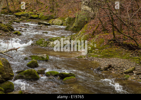 Il piccolo fiume è raffigurato dal vecchio Stato Hwy 73 nel Parco Nazionale di Great Smoky Mountains in Tennessee Foto Stock