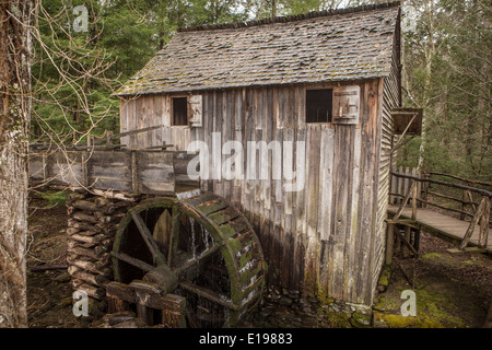 Cavo di John Grist Mill è raffigurato in Cades Cove area del Parco Nazionale di Great Smoky Mountains in Tennessee Foto Stock