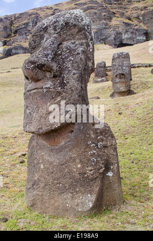 Statue chiamate moai scolpito dal tufo vulcanico rock alla cava sul versante di Rano Raraku, un vulcano estinto l'Isola di Pasqua, Foto Stock