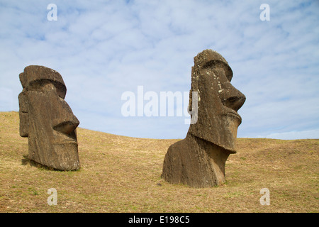 Statue chiamate moai scolpito dal tufo vulcanico rock alla cava sul versante di Rano Raraku, un vulcano estinto Foto Stock