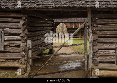 Tipton posto a doppio sbalzo fienile è raffigurato in Cades Cove area del Parco Nazionale di Great Smoky Mountains in Tennessee Foto Stock