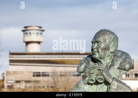 Una scultura di Sir Peter Scott presso la Slimbridge Bird Reserve, Gloucestershire, Inghilterra Foto Stock