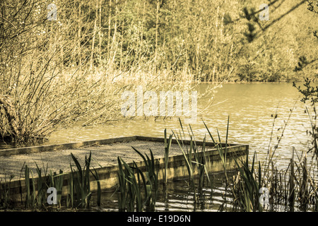 Pontile lago circondato da fogliame Foto Stock