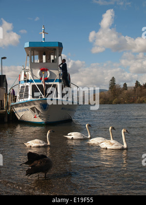 Imbarcazione da diporto Miss Lakeland 2 Bowness-on-Windermere Lake District Cumbria Inghilterra England Regno Unito Foto Stock