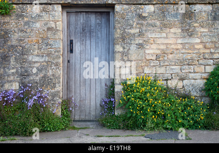 Giardino parete con la porta di legno e fiori, Cotswolds, Chipping Campden, Gloucestershire, Inghilterra. Foto Stock