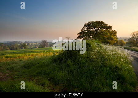 Paesaggio vicino a Chipping Campden, Cotswolds, Gloucestershire, Inghilterra. Foto Stock