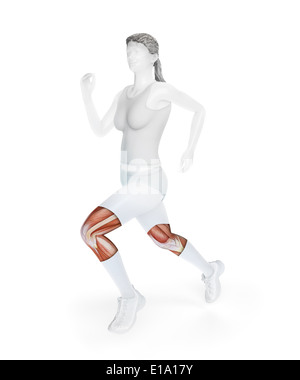 Femmina anatomia runner - medicina dello sport illustrazione Foto Stock