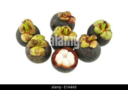 Gruppo di nero e verde mangosteen isolati su sfondo bianco. Foto Stock