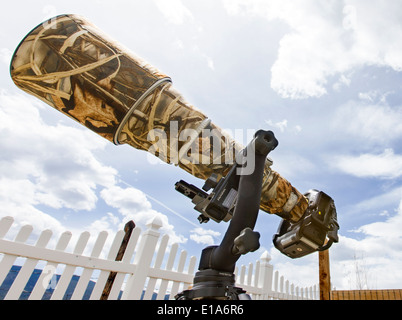 Grande teleobiettivo w coperchio di mimetizzazione, Telecamera digitale professionale & treppiede Foto Stock