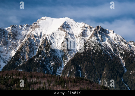 All'esterno il paesaggio con le montagne dei Carpazi gamma in Romania, Bucegi parco naturale (2507 m) Foto Stock