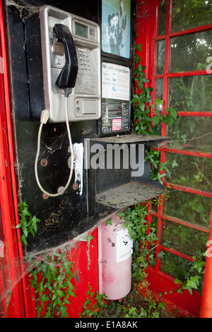 Ricoperta sul ciglio della strada ma ancora lavorando Telefono rosso scatola in Cornovaglia vicino a Liskeard Foto Stock