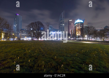 Un campo con piccoli crochi e una vista sull'aia skyline Foto Stock