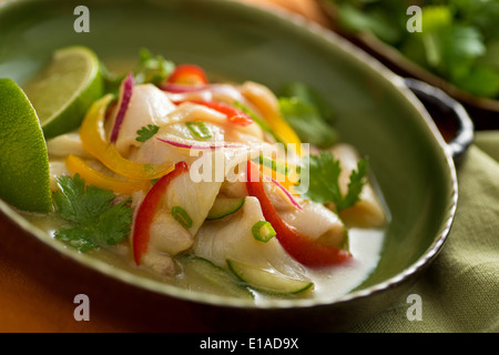 Un preparata di fresco pesce bianco ceviche con cipolla rossa, il peperone rosso, il peperone giallo, il cetriolo, calce e cipolla verde. Foto Stock