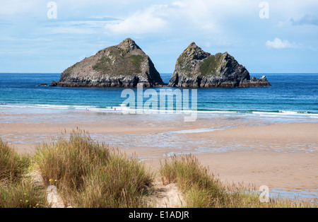 ' Carradori rocce ' al largo di Holywell Bay in Cornwall, Regno Unito Foto Stock