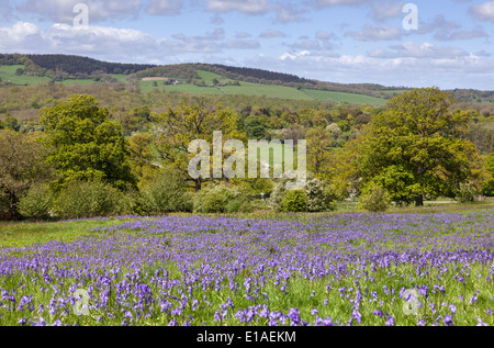 L'Herefordshire campagna dal Parco Eastnor in primavera, Herefordshire, England, Regno Unito Foto Stock